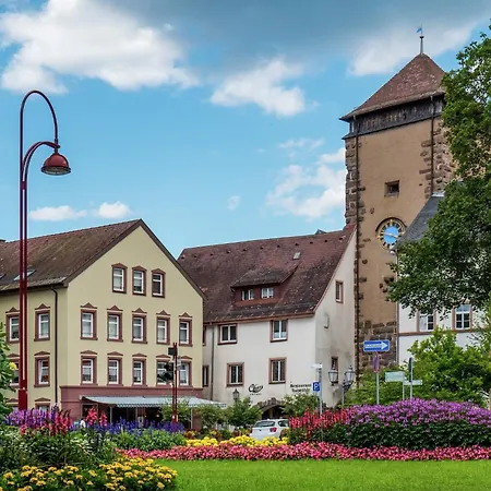 Gemuetliche In Schwenningen, Cleaning Included *