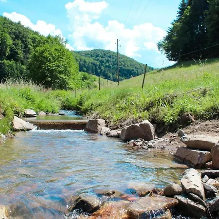 Gemuetliche In Schwenningen, Cleaning Included Villingen-Schwenningen