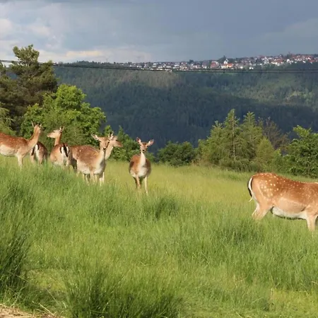 Gemuetliche In Schwenningen, Cleaning Included * Villingen-Schwenningen