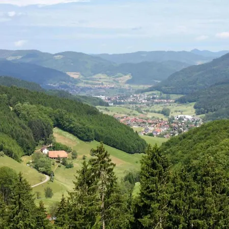 Apartman Gemuetliche In Schwenningen, Cleaning Included *