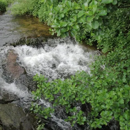 Gemuetliche In Schwenningen, Cleaning Included Apartman *
